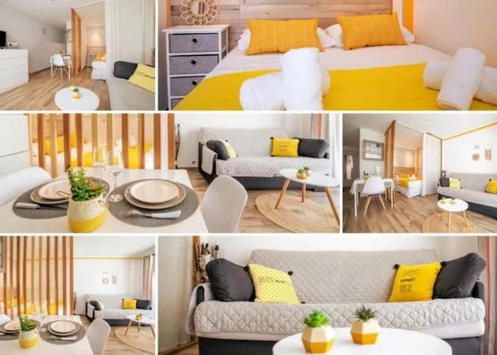 Cocoon Center - Rue D'antibes - 200m Plage- Clim - Wifi - Unique *